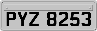 PYZ8253