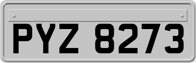 PYZ8273