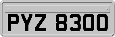 PYZ8300