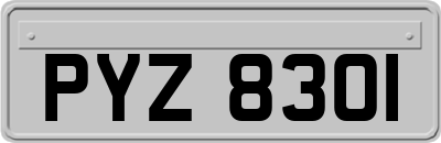 PYZ8301