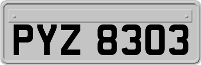 PYZ8303
