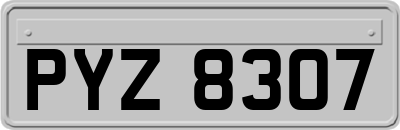 PYZ8307
