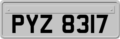 PYZ8317
