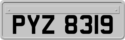 PYZ8319