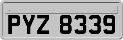 PYZ8339