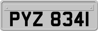 PYZ8341