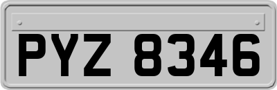 PYZ8346