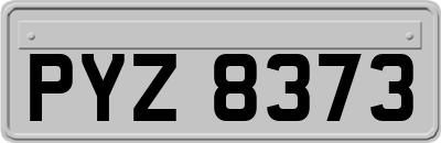 PYZ8373