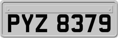 PYZ8379