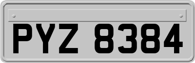 PYZ8384