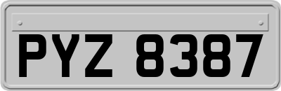 PYZ8387