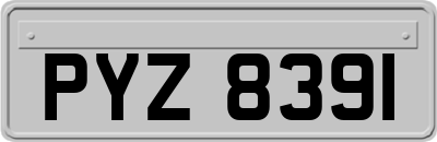 PYZ8391