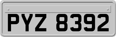 PYZ8392