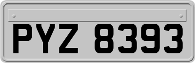 PYZ8393