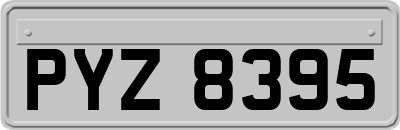 PYZ8395