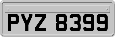 PYZ8399
