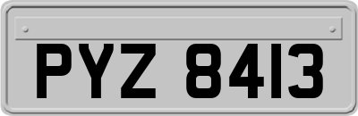 PYZ8413