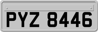 PYZ8446
