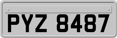 PYZ8487