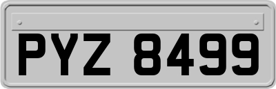 PYZ8499