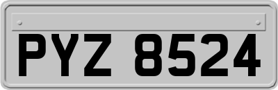 PYZ8524
