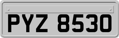PYZ8530