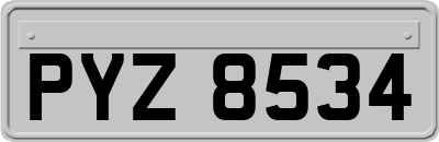 PYZ8534