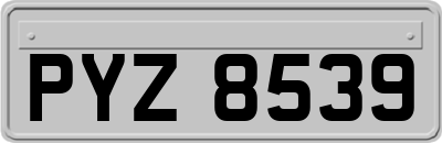 PYZ8539