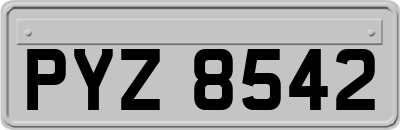 PYZ8542