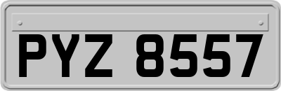 PYZ8557