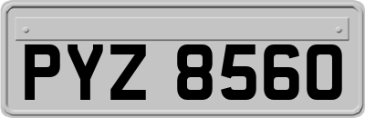 PYZ8560