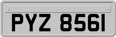 PYZ8561