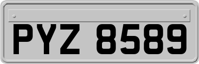 PYZ8589
