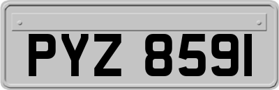 PYZ8591
