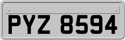 PYZ8594