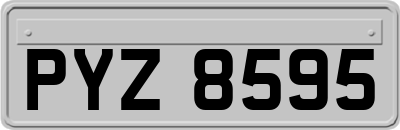 PYZ8595