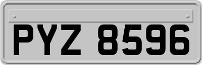PYZ8596