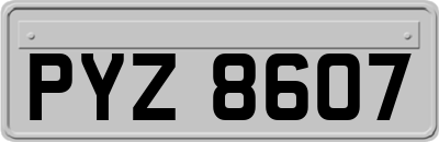 PYZ8607