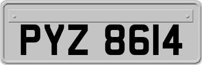 PYZ8614