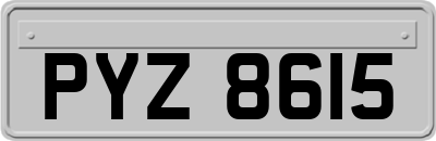 PYZ8615