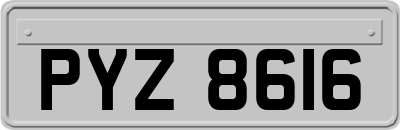 PYZ8616