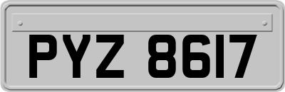 PYZ8617
