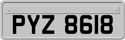 PYZ8618