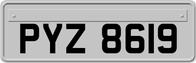 PYZ8619