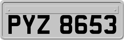 PYZ8653