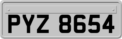 PYZ8654