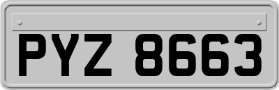 PYZ8663