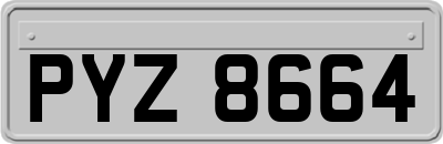 PYZ8664