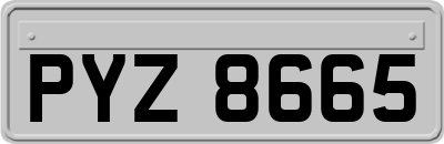 PYZ8665