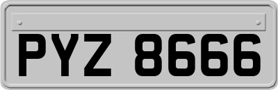 PYZ8666